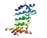 Transient Receptor Potential Cation Channel Subfamily V, Member 2 (TRPV2)