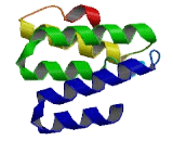 Translocase Of Outer Mitochondrial Membrane 70A (TOMM70A)