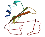 Transmembrane Protein 131 Like Protein (TMEM131L)