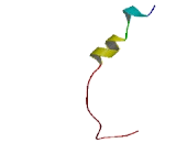 Transmembrane Protein 150B (TMEM150B)