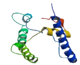 Transmembrane Protein 150C (TMEM150C)