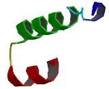 Transmembrane Protein 223 (TME<b>M223</b>)