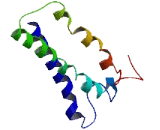 Transmembrane Protein 235 (TMEM235)