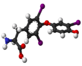 Triiodothyronine (T3)