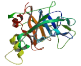 Tryptase Beta 2 (TPSb2)