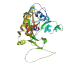 Tubulin Tyrosine Ligase Like Protein 2 (TTLL2)