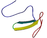 Tumor Associated Calcium Signal Transducer 2 (TACSTD2)