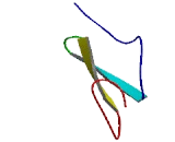 Tumor Endothelial Marker 1 (TEM1)