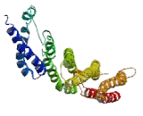 Tumor Necrosis Factor Alpha Induced Protein 3 Interacting Protein 2 (TNIP2)