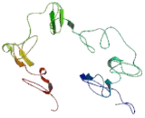 Tumor Necrosis Factor Receptor Superfamily, Member 14 (TNFRSF14)