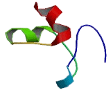 Tumor Necrosis Factor Receptor Superfamily, Member 17 (TNFRSF17)