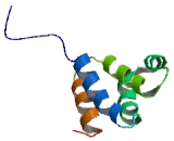 Tumor Necrosis Factor Receptor Superfamily, Member 21 (TNFRSF21)