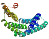 Tyrosine 3/Tryptophan 5 Monooxygenase Activation Protein Epsilon (YWHAe)