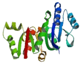 UDP Glucose Ceramide Glucosyltransferase (UGCG)