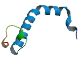 Ubiquinol Cytochrome C Reductase (UQCR)