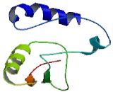 Ubiquitin Specific Peptidase 54 (USP54)