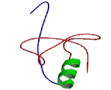 Uridine Phosphorylase 1 (UPP1)