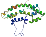 Vav 2 Oncogene (VAV2)