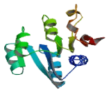 Vesicle Amine Transport Protein 1 (VAT1)