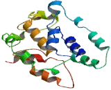 Vesicular Monoamine Transporter 2 (VMAT2)