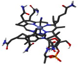 Cyanocobalamin (CNCbl)