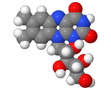 Vitamin B2 (VB2)