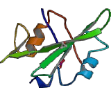 Von Willebrand Factor A Domain Containing Protein 3A (vWA3A)