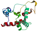 Von Willebrand Factor C Domain Containing Protein 2 Like Protein (vWC2L)