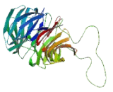 WD Repeat Containing Domain Protein 90 (WDR90)