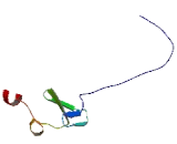 Zinc Finger, AN1-Type Domain Protein 6 (ZFAND6)