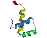 Zinc Finger Homeobox Protein 1B (ZFHX1B)