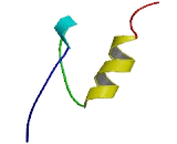 Zinc Finger Protein 101 (ZNF101)