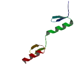 Zinc Finger Protein 180 (ZNF180)