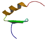 Zinc Finger Protein 202 (ZNF202)