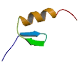 Zinc Finger Protein 205 (ZNF205)