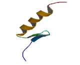 Zinc Finger Protein 211 (ZNF211)