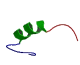 Zinc Finger Protein 212 (ZNF212)
