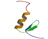 Zinc Finger Protein 213 (ZNF213)