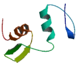 Zinc Finger Protein 215 (ZNF215)