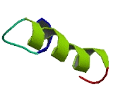 Zinc Finger Protein 217 (ZNF217)