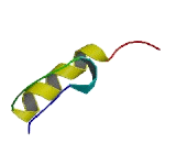 Zinc Finger Protein 282 (ZNF282)