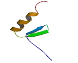 Zinc Finger Protein 317 (ZNF317)
