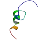 Zinc Finger Protein 320 (ZNF320)