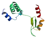 Zinc Finger Protein 346 (ZNF346)