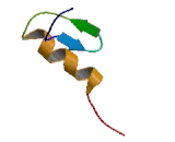 Zinc Finger Protein 397 (ZNF397)