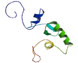 Zinc Finger Protein 474 (ZN<b>F474</b>)