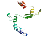 Zinc Finger Protein 485 (ZNF485)
