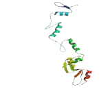 Zinc Finger Protein 564 (ZNF564)