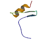 Zinc Finger Protein 592 (ZNF592)