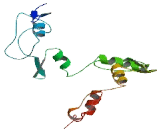 Zinc Finger Protein 626 (ZNF626)